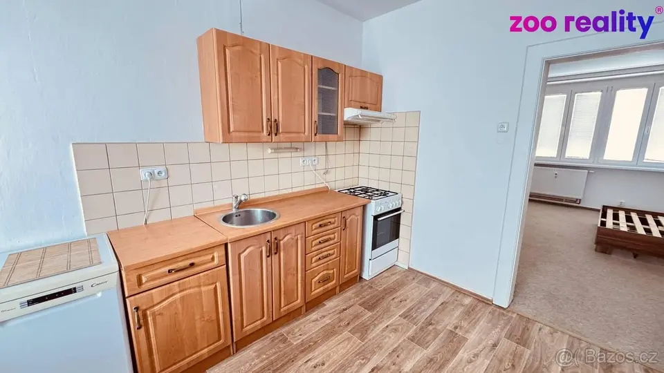 Pronájem, byt 1+1, 45 m2, České Budějovice, ulice Lipenská